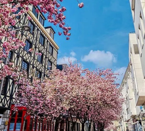 Le Cloudy - @kreativehome_ *